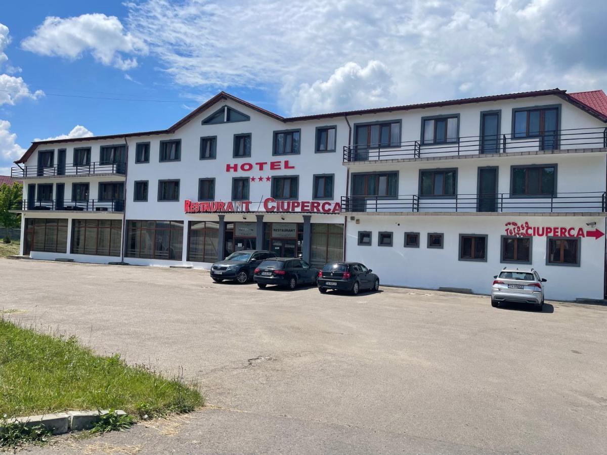 Hostel Restaurant Ciuperca Hunedoara Zewnętrze zdjęcie